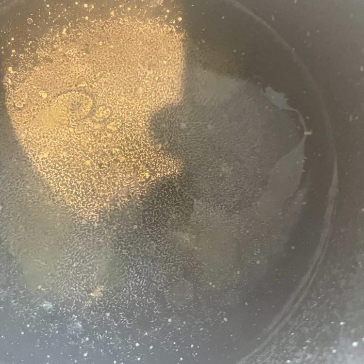 bitter melon and pork belly stir fry oil boiling