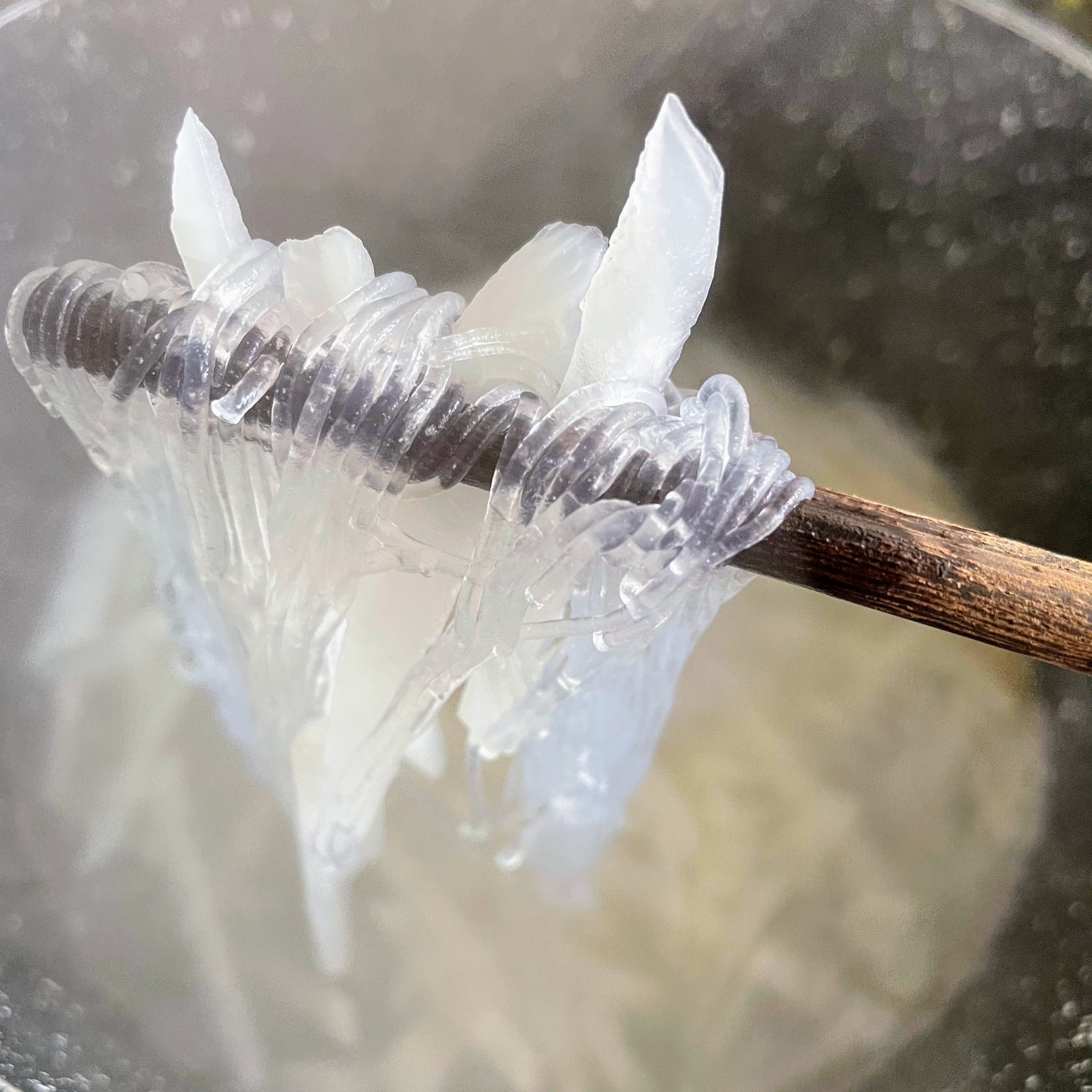 fishball mooli glass noodle soup glass noodles boiling