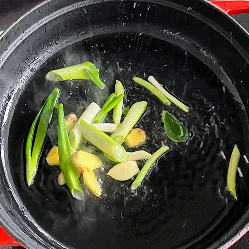 ground pot chicken spring onions and ginger in pot